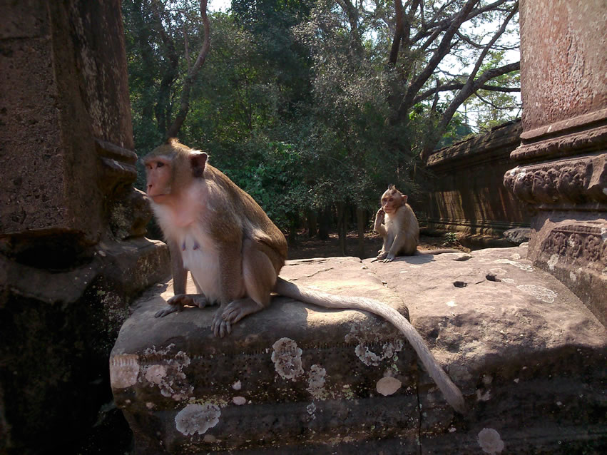 <h2>Thailand, Cambodia & Vietnam Escorted 2018</h2>14 Nights from Thailand to Cambodia & Vietnam | 8 Rounds | January 30 - February 13